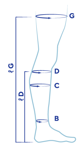 Measurements 06 VA Sizing Charts